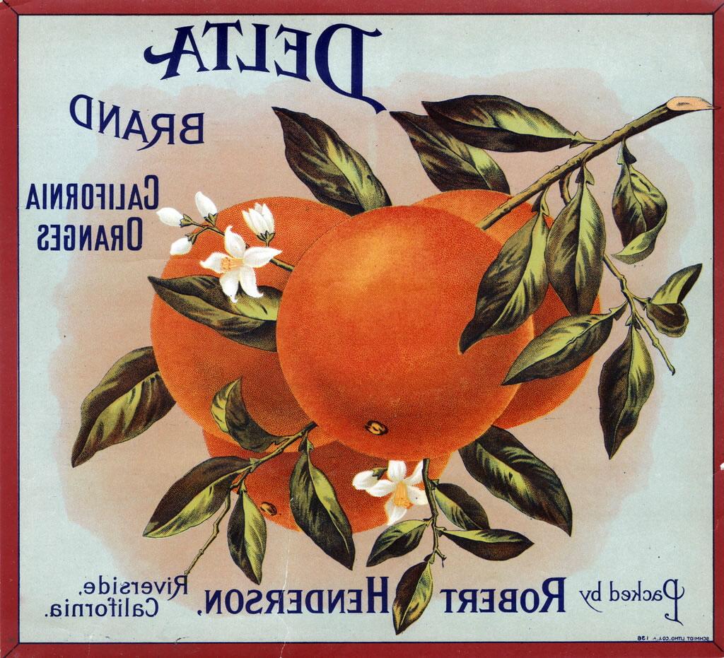 Vintage Citrus Labels