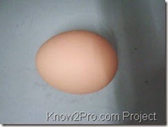 โครงงานระบบจำลองการคัดแยกขนาดวัตถุ(ไข่ไก่) – ข้อมูลเพิ่มเติม