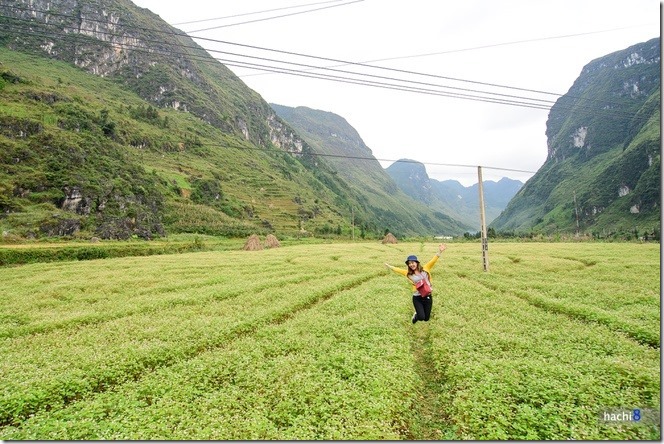 Cảnh đẹp Việt Nam, cảnh đẹp Hà Giang