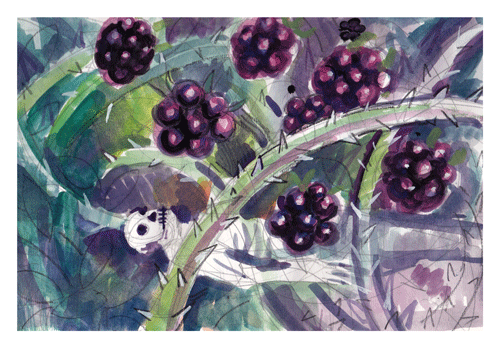 [blackberries-1%255B5%255D.gif]