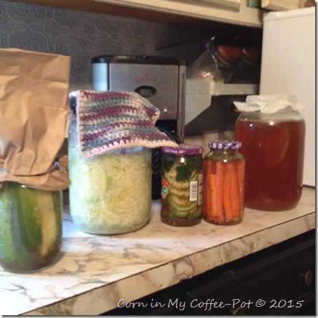 Lacto-Fermenting Foods Experimenting with Foods