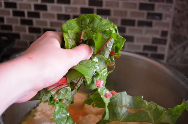 Chicken-And-Dumplings-With-Swiss-Chard-Chopped-Swiss-Chard.jpg