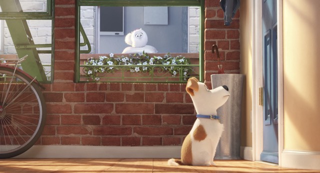 The Secret Life Of Pets Movie