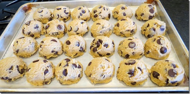 My Favorite Chocolate Chip Cookies-ready to freeze dough
