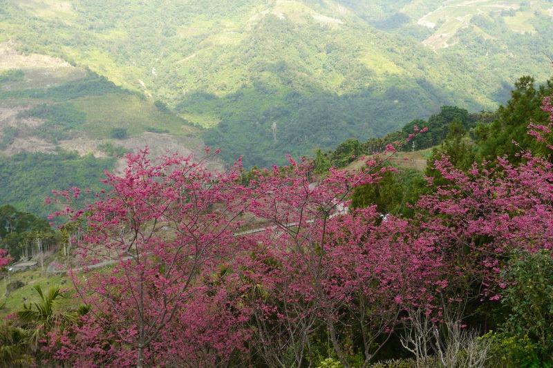 2014_0201-0207 轆轆溫泉 花東3日行_468