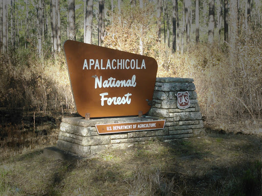 National Forest «Apalachicola National Forest», reviews and photos, Stateroad 13, Sopchoppy, FL 32358, USA
