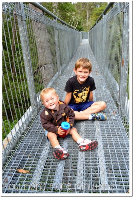 Tahune AirWalk ~ How Many More Minutes?