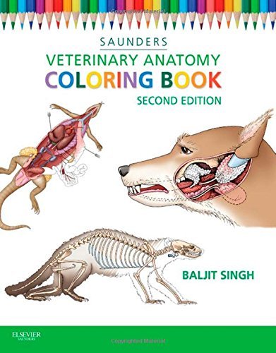 Most Popular Ebook - Veterinary Anatomy Coloring Book, 2e