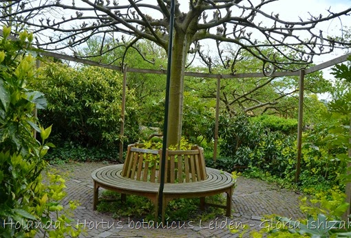 Glória Ishizaka - Hortus Botanicus Leiden - 49