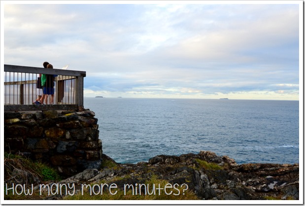 Muttonbird Island | How Many More Minutes?