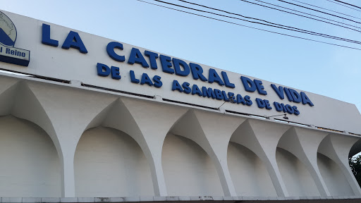 La Catedral De Vida