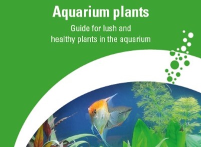 dbt-aquarium-plants-guide