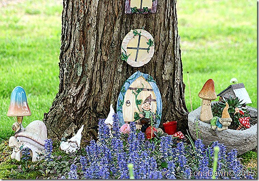 Gnome Bed Ajuga Burgandy Glow