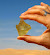 The Mysterious Libyan Desert Glass