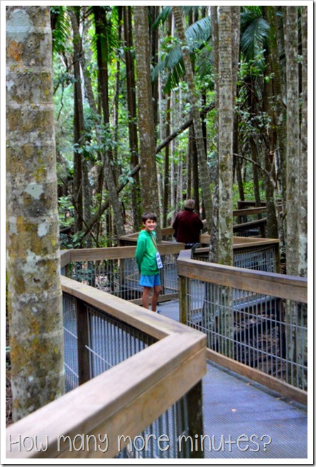 Sea Acres Rainforest Centre in Port Macquarie | How Many More Minutes?