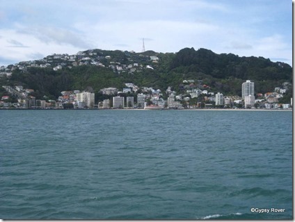 Oriental Bay from Wellington