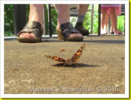 IMG_6993 IMG_6993