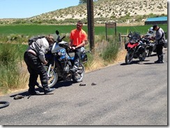 IMG_0441 IMG_0441