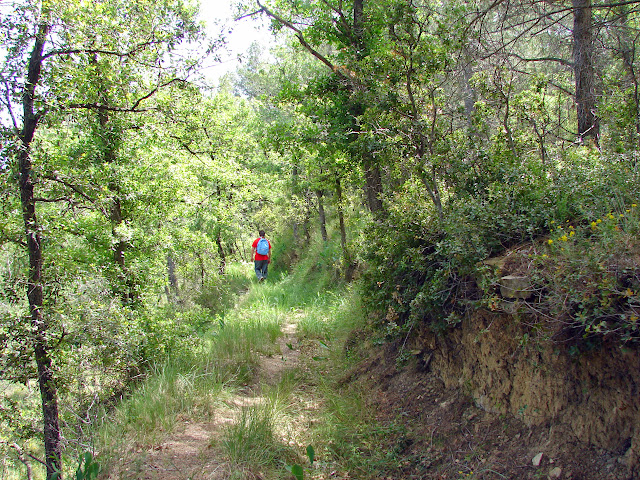 Senderismo - Puebla de Arenosos - Chorrico - Montico - Chorrador SL-CV 57