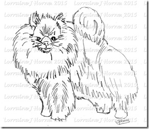 Pomeranian by Lorraine J Horne at JosiesImageInn