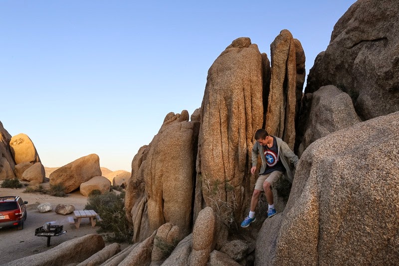 evening in joshua tree-1