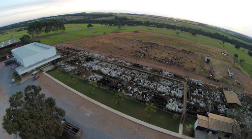 Giraboi Leilões, Rodovia GO-020, KM 42, s/n - Zona Rural, Bela Vista de Goiás - GO, 75240-000, Brasil, Serviços_Leilões, estado Goias