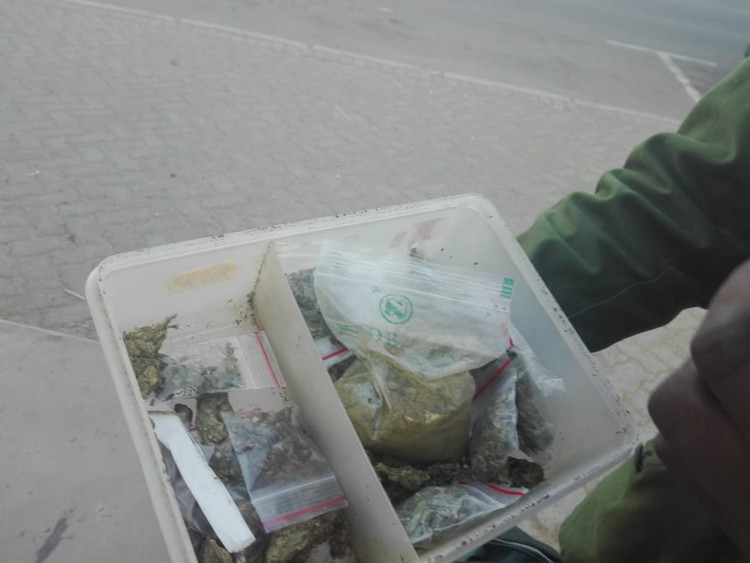 A man shows the dagga he is selling quite openly along the N2 in the Eastern Cape.