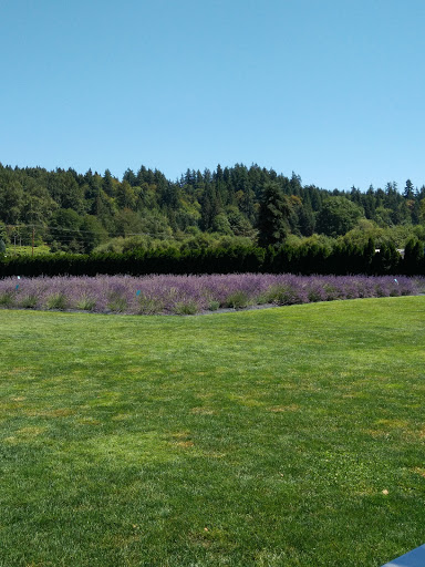 Event Venue «Woodinville Lavender», reviews and photos, 14223 Woodinville-Redmond Rd NE, Redmond, WA 98052, USA