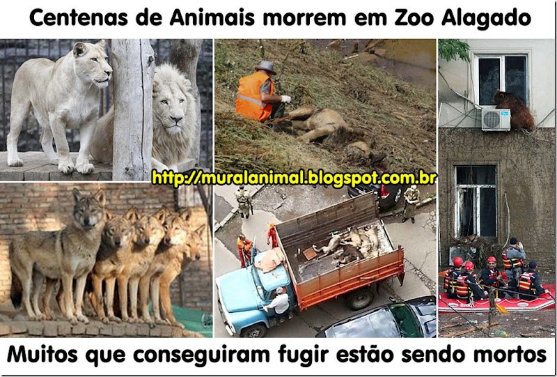 animal_zoo