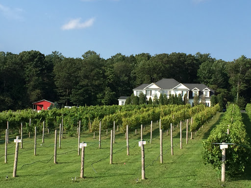 Vineyard «Blue Ridge Estate Vineyard & Winery», reviews and photos, 239 Blue Ridge Rd, Saylorsburg, PA 18353, USA