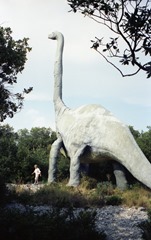 1990.09.16-090.28 bronchiosaure