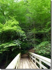 Foot bridge at Moore Cove Trail