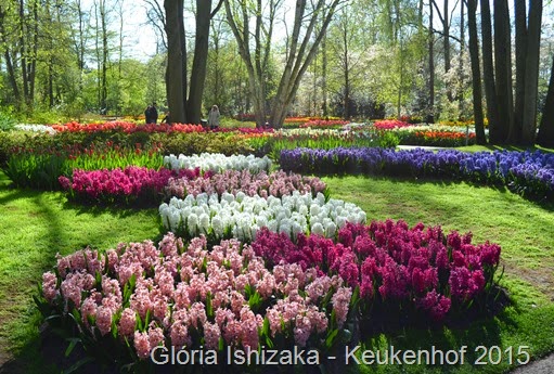 1 .Glória Ishizaka - Keukenhof 2015 - 76