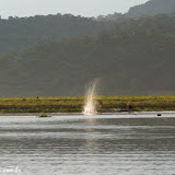 Pescadores - Lago Suchitlán - Suchitoto, El Salvador