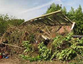 Biot Flood 15