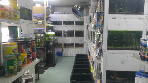 Tropical Fish Store «Aqua-Life Central», reviews and photos, 389 Wickenden St, Providence, RI 02903, USA