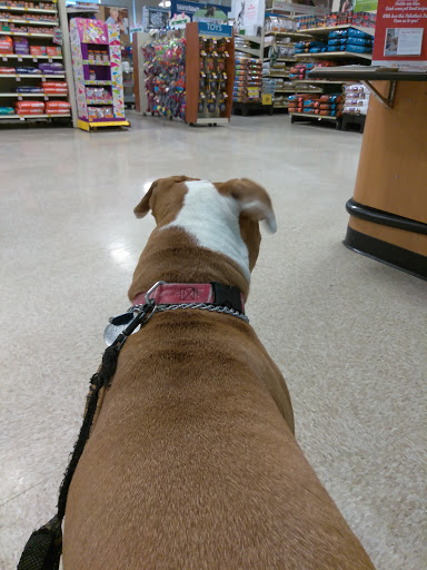 Pet Supply Store «PetSmart», reviews and photos, 23470 Allen Rd, Woodhaven, MI 48183, USA