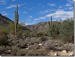 Black Canyon White Tank Park hike 061