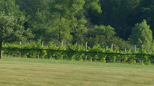 Winery «Owera Vineyards», reviews and photos, 5276 E Lake Rd, Cazenovia, NY 13035, USA