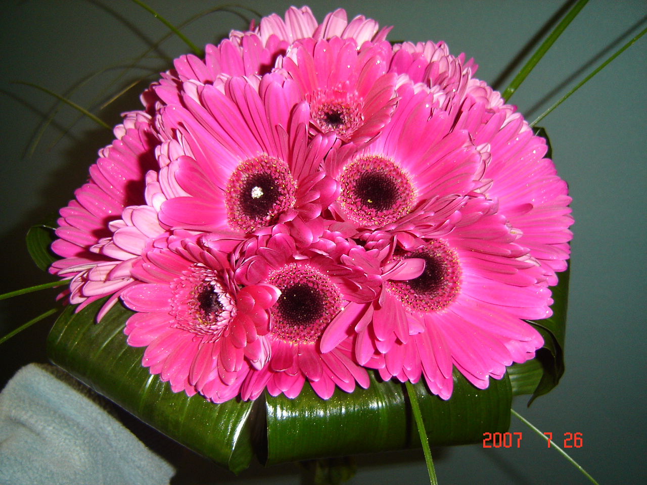 gerbera wedding flowers