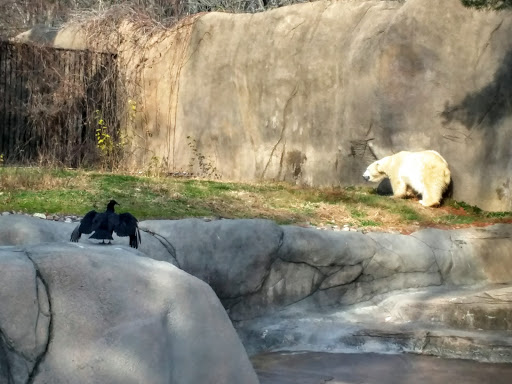 Zoo «Bear Country», reviews and photos, N 34th St, Philadelphia, PA 19104, USA