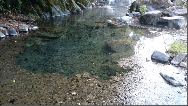 Caleta Porcelana - Águas termais.