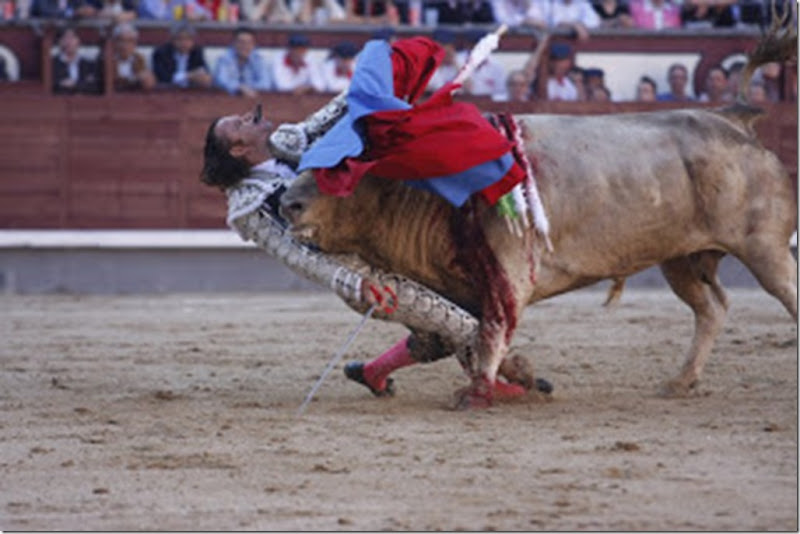 bullfight3 (1)