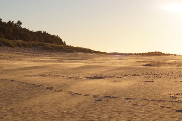 magical beach at sunset wells Norfolk