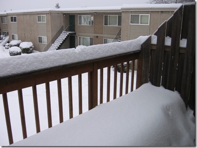 IMG_4848 Snow in Milwaukie, Oregon on December 22, 2008