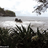 Hawaii Tropical Botanical Garden -  Big Island, Havaí, EUA