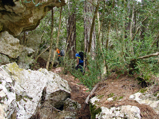 Senderismo - Coll de la Creu - Punta Boixet - Alt de la Coscollosa - Barranc de la Coscollosa