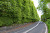 Meikleour Beech Hedges: World’s Largest Hedge