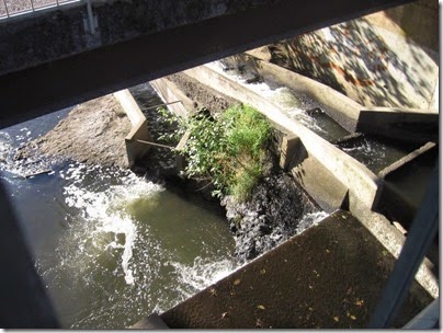 IMG_3854 Kellogg Creek Dam in Milwaukie, Oregon on September 27, 2008