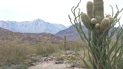 Tourist Attraction «Dobbins Lookout at South Mountain», reviews and photos, 10919 south cental avenue, Phoenix, AZ 85042, USA